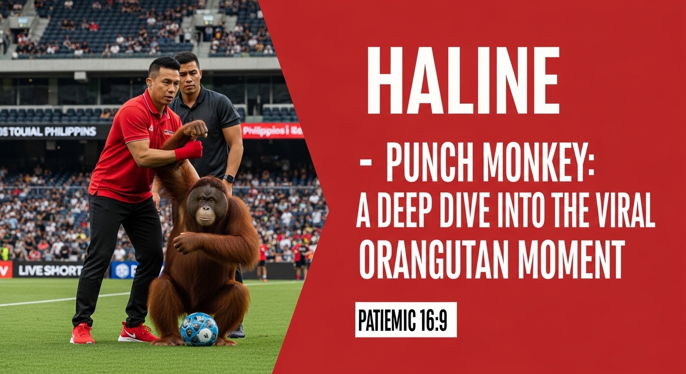 Punch Monkey: A Deep Dive Into the Viral Orangutan Moment